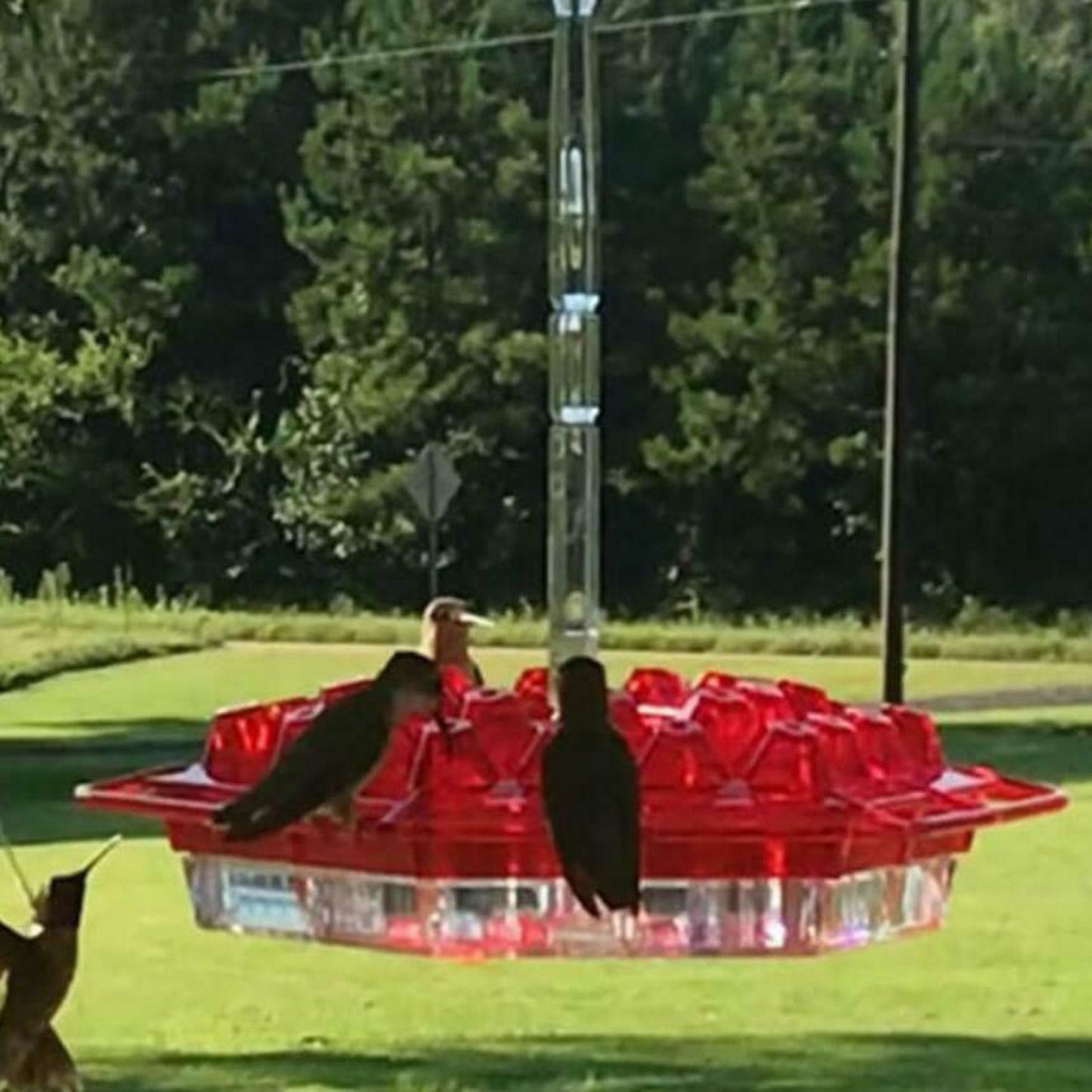 Hummingbird Feeder Flower Bird Feeder Hanging Bird Feeder Hexagon Red Bird Feeder