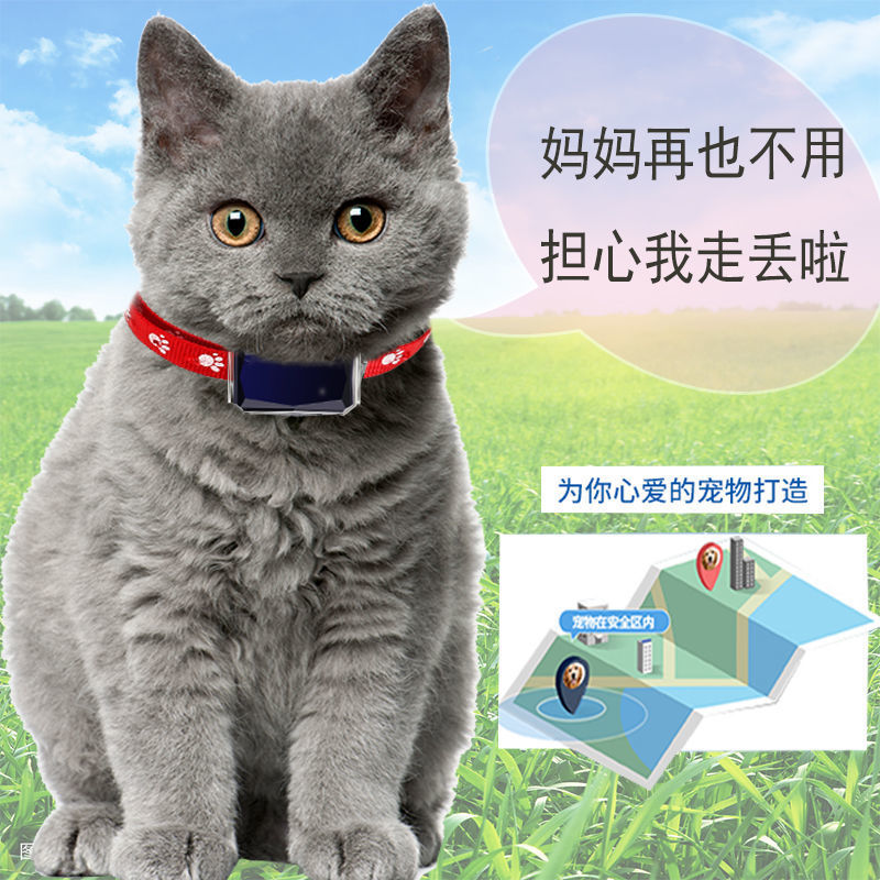 Smart Pet Positioning Anti-lost Device Waterproof Anti-lost Pet GPS Collar Pet Gps Locator Tracker