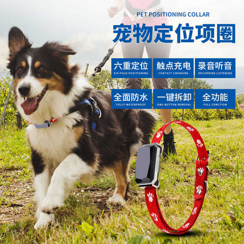 Smart Pet Positioning Anti-lost Device Waterproof Anti-lost Pet GPS Collar Pet Gps Locator Tracker