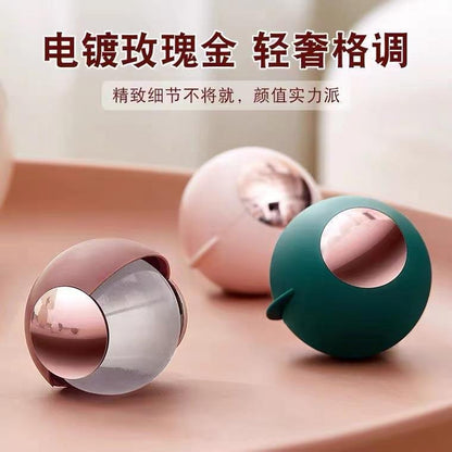 Pet Hair Remover Sticky Ball Hair Sticker Light Luxury Portable Dust Remover Brush Washable And Reusable